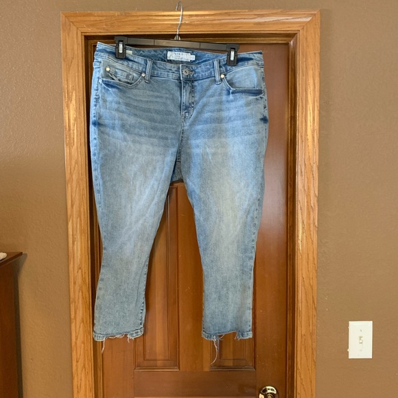 torrid Denim - Torrid crop skinny jeans